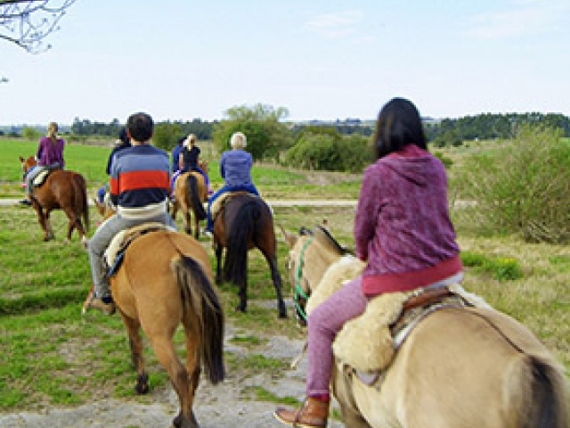 Disfruta de las bellezas del campo en una estancia turística en Uruguay
