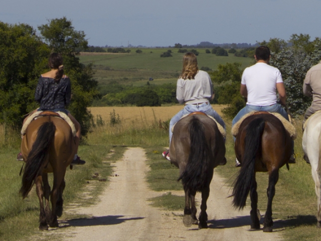 Mejores lugares para disfrutar la tranquilidad en un hotel de campo