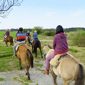 Disfruta de las bellezas del campo en una estancia turística en Uruguay