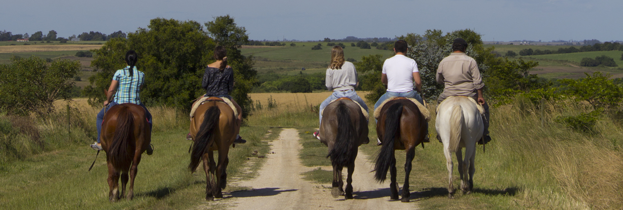 Mejores lugares para disfrutar la tranquilidad en un hotel de campo