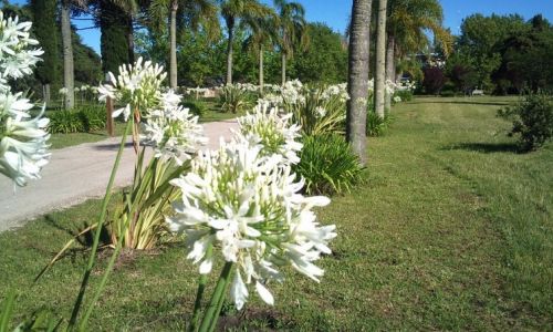 Divertite haciendo mountain bike con bici propia en Don Joaquín